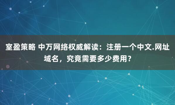 室盈策略 中万网络权威解读：注册一个中文.网址域名，究竟需要多少费用？
