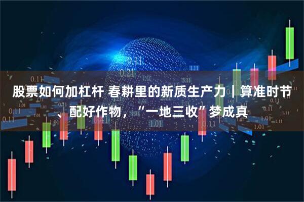 股票如何加杠杆 春耕里的新质生产力｜算准时节、配好作物，“一地三收”梦成真