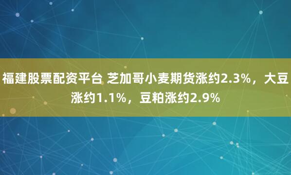 福建股票配资平台 芝加哥小麦期货涨约2.3%，大豆涨约1.1%，豆粕涨约2.9%