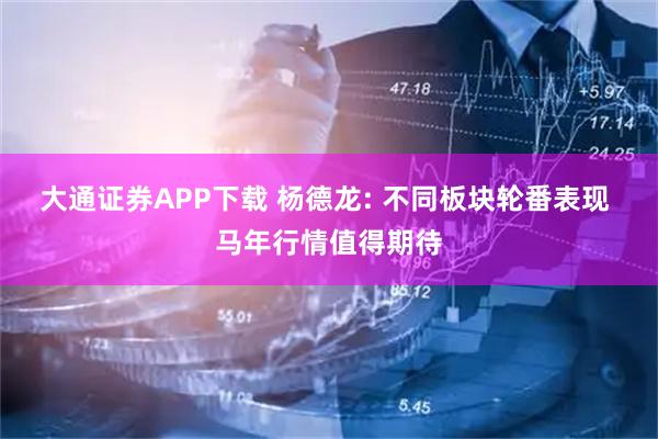 大通证券APP下载 杨德龙: 不同板块轮番表现 马年行情值得期待